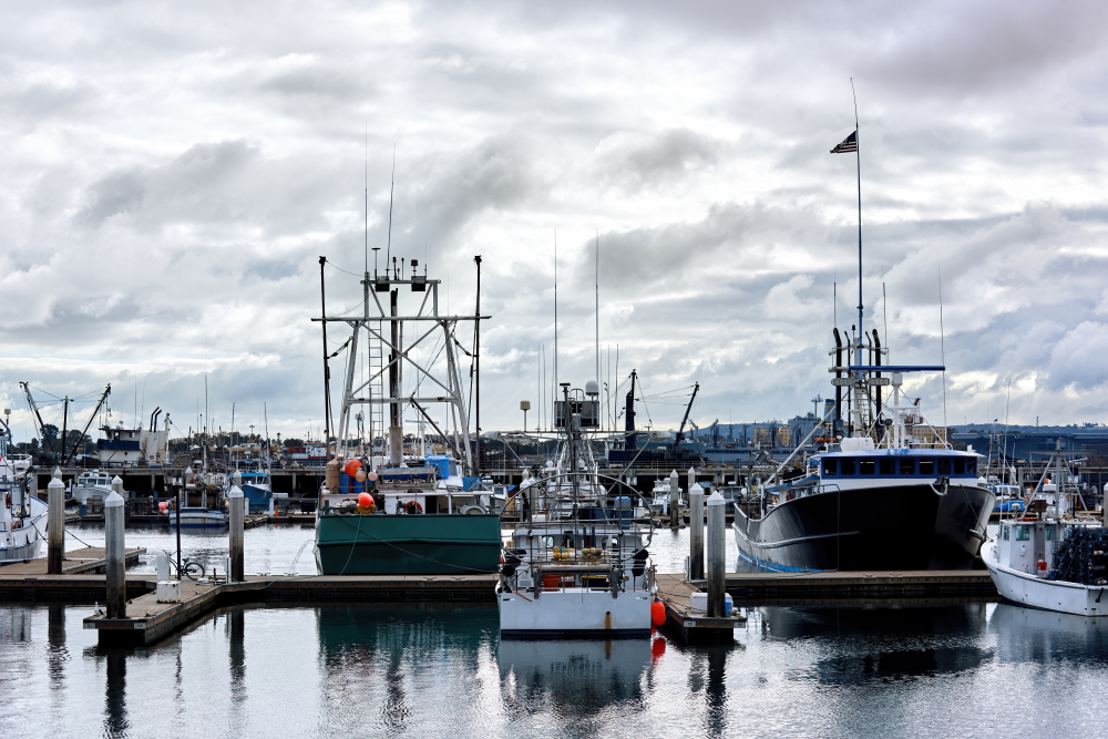 Maritime organizations